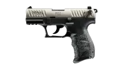 P22 3.42 inches Nickel 10RD 22LR